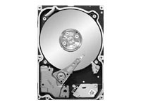 Seagate Constellation.2, 250GB (ST9250611NS)